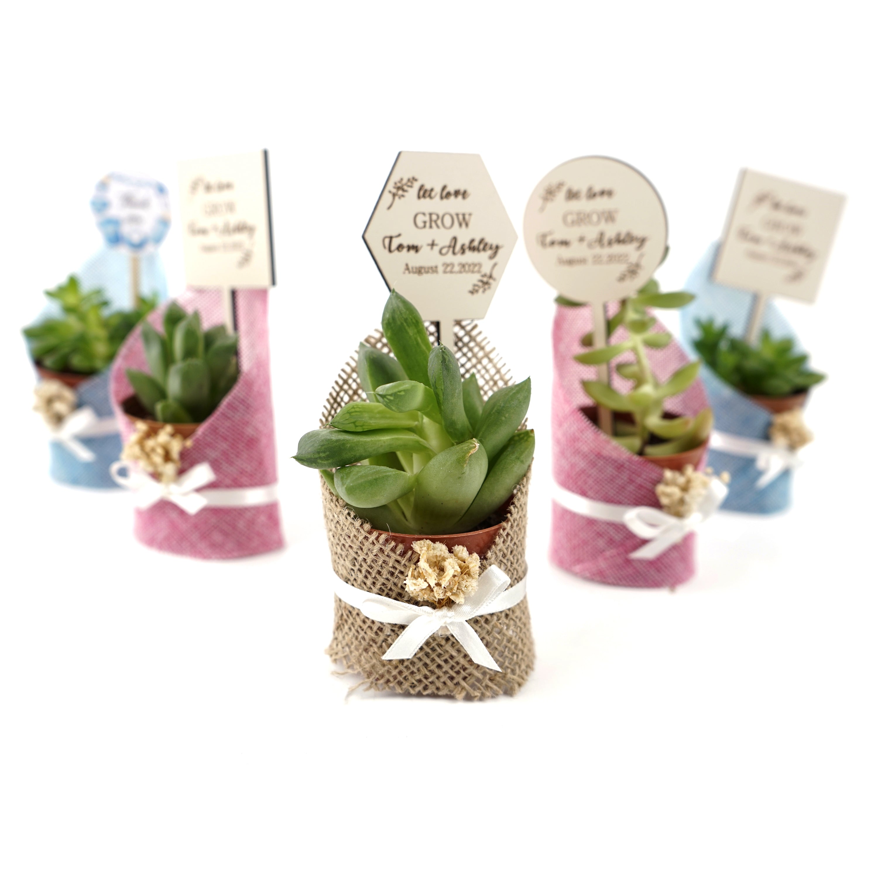Recuerdos de boda Arpillera Suculenta viva con flores secas y etiqueta personalizada Incluye suculenta viva