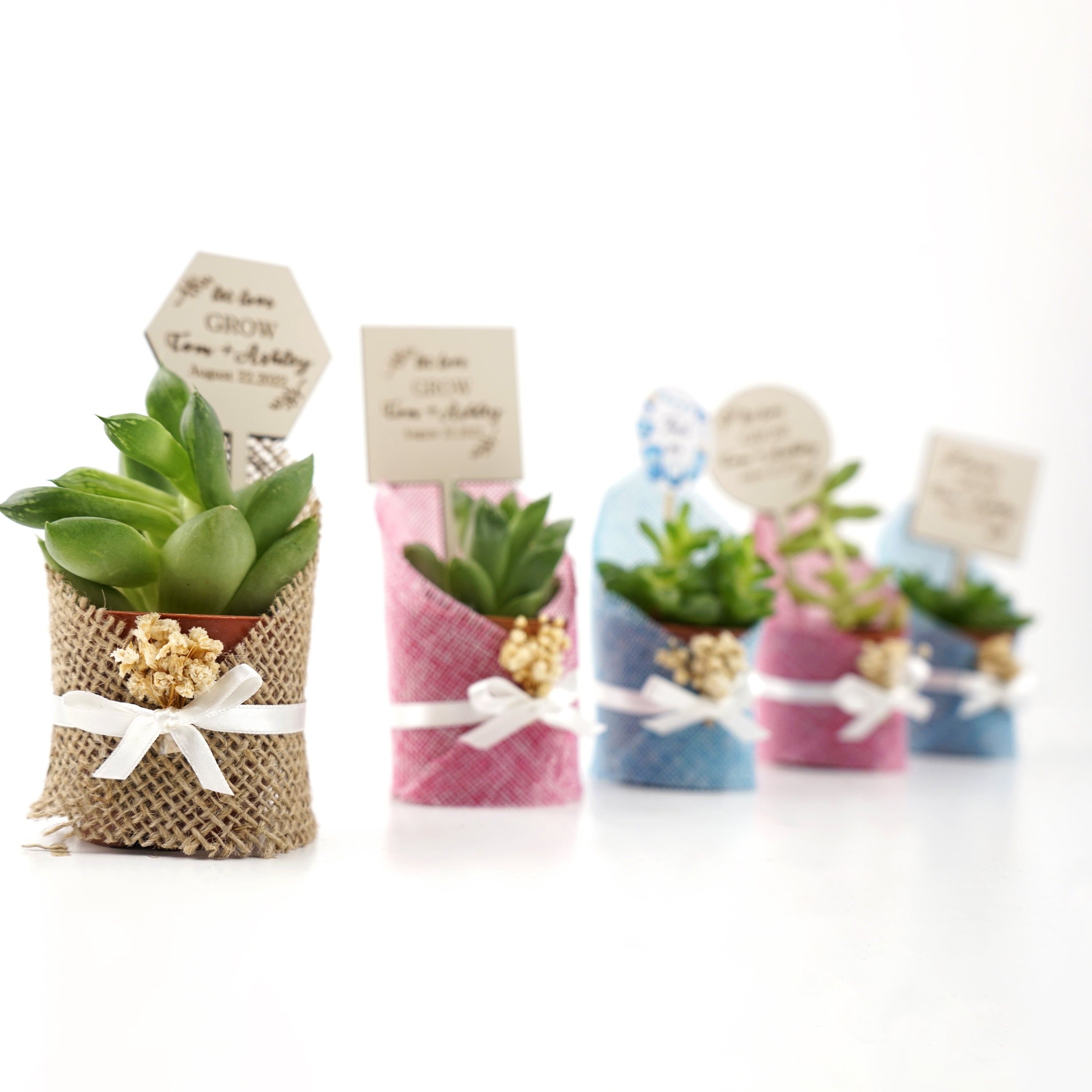 detalles boda para invitados, succulente en toile de jute avec des fleurs séchées personalizadas Detalles Comunion, Bautizo, Boda, Regalito Invitados, ideal como regalo recuerdos communion