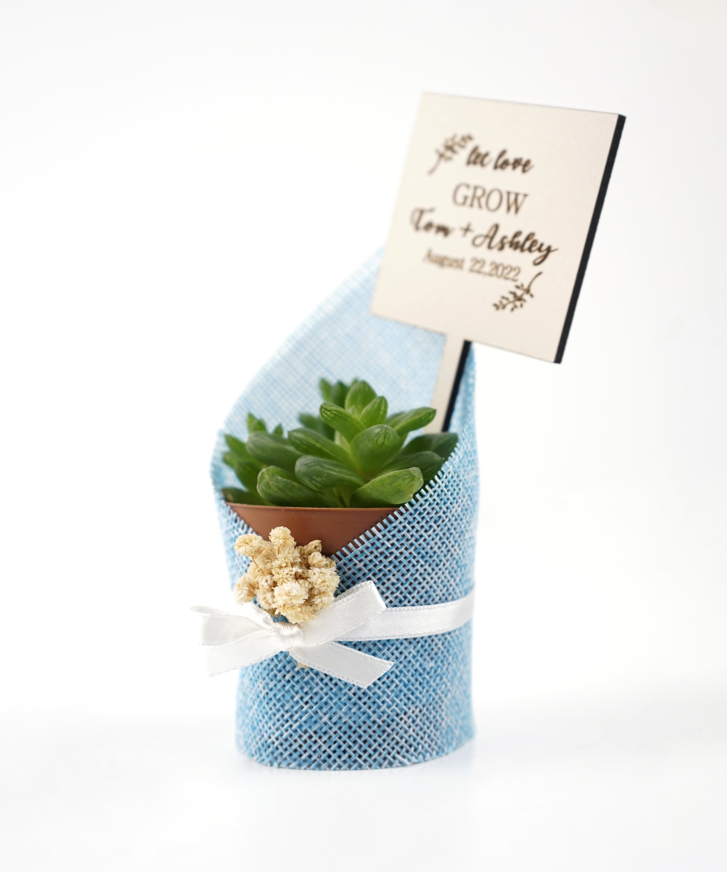 detalles boda para invitados, succulente en toile de jute avec des fleurs séchées personalizadas Detalles Comunion, Bautizo, Boda, Regalito Invitados, ideal como regalo recuerdos communion  