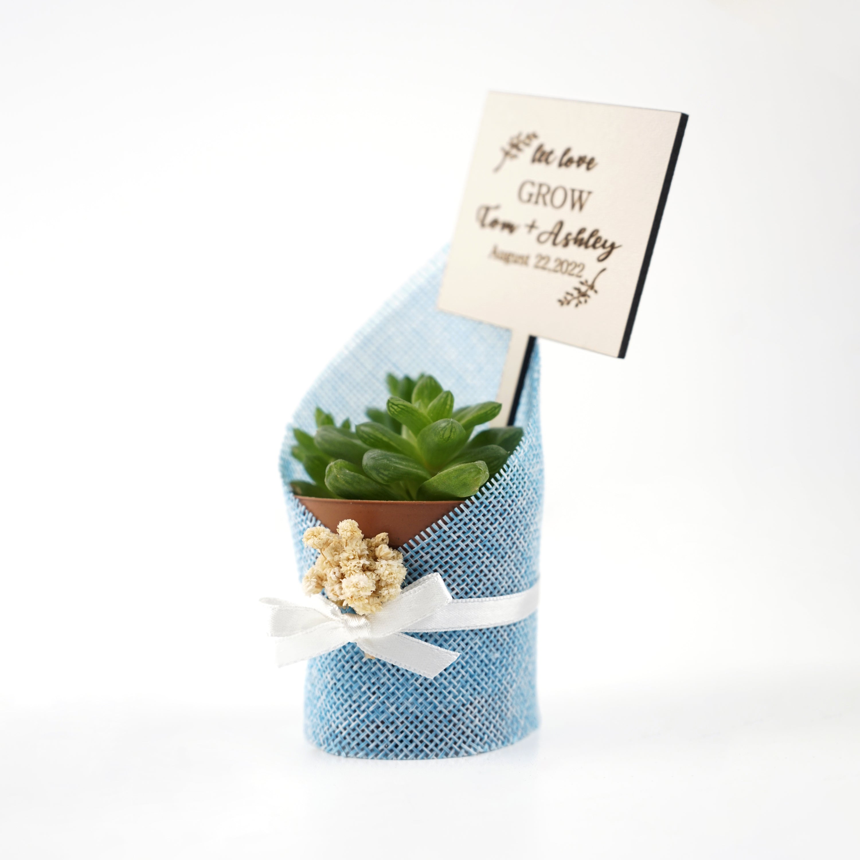 detalles boda para invitados, succulente en toile de jute avec des fleurs séchées personalizadas Detalles Comunion, Bautizo, Boda, Regalito Invitados, ideal como regalo recuerdos communion  