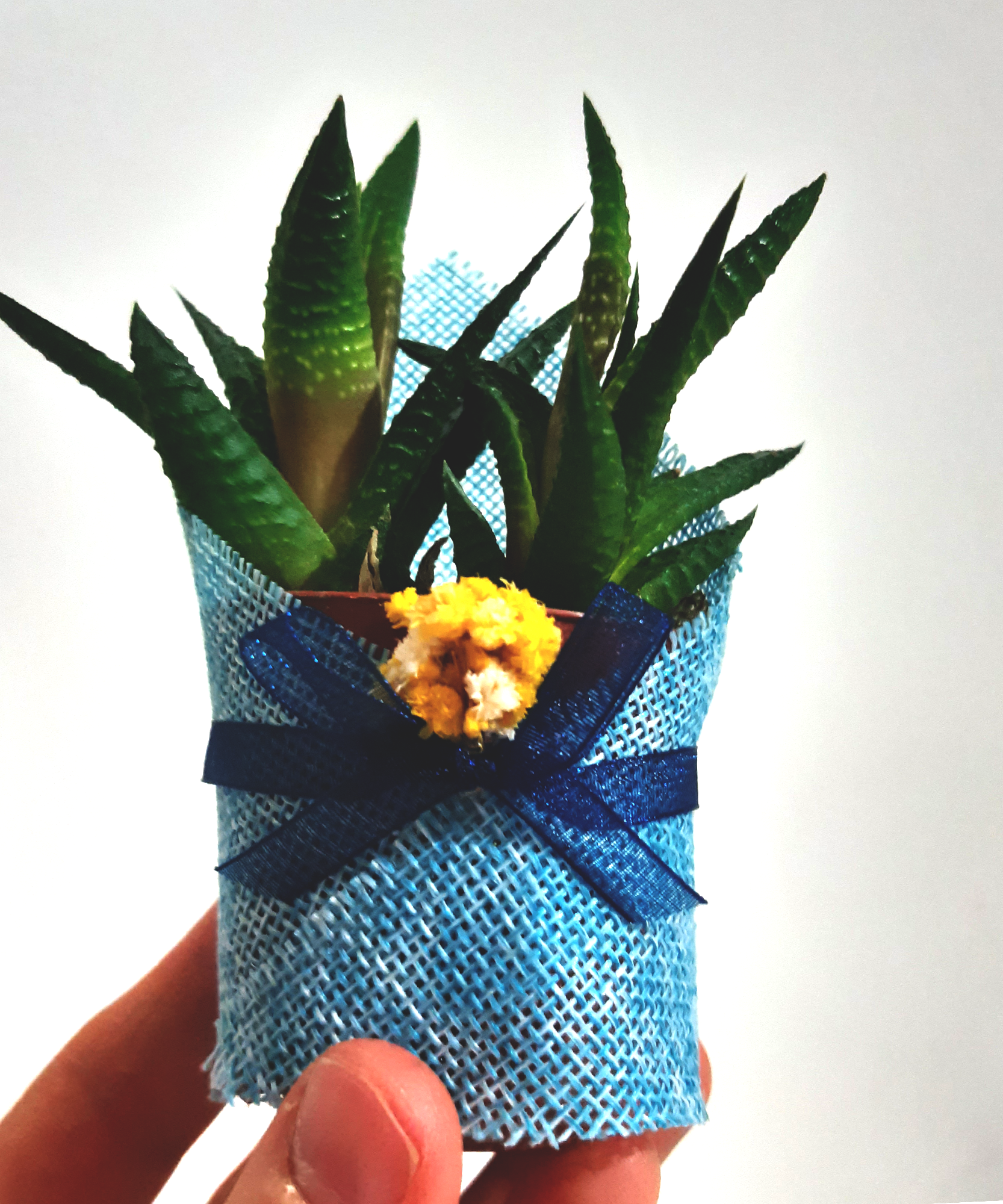 detalles boda para invitados, succulente en toile de jute avec des fleurs séchées personalizadas Detalles Comunion, Bautizo, Boda, Regalito Invitados, ideal como regalo recuerdos communion  
