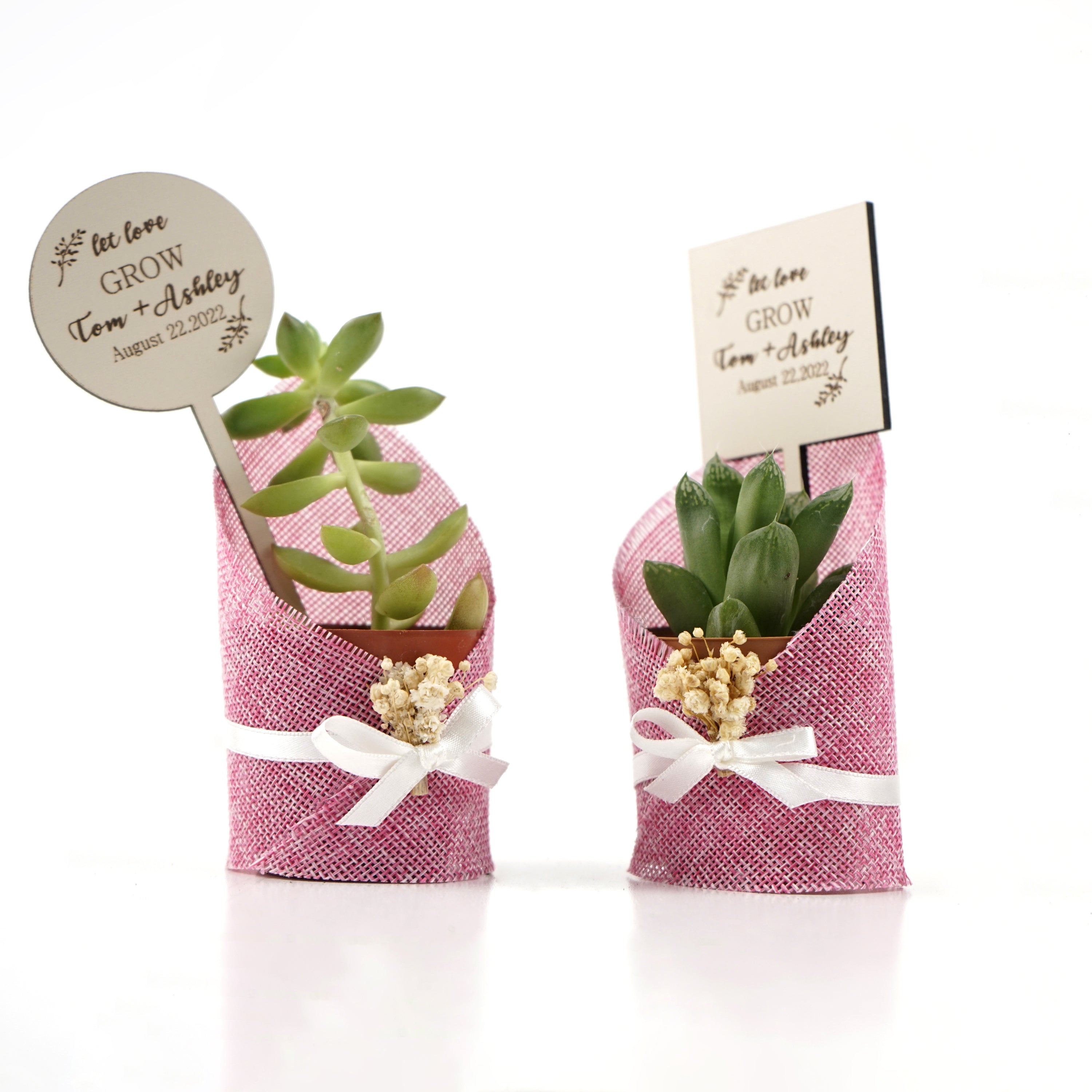 detalles boda para invitados, succulente en toile de jute avec des fleurs séchées personalizadas Detalles Comunion, Bautizo, Boda, Regalito Invitados, ideal como regalo recuerdos communion  